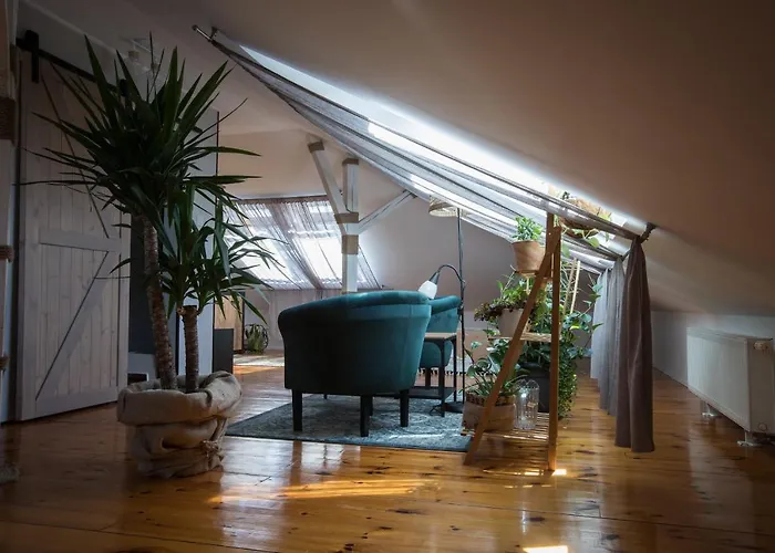 Apartsw241 * 옐레니아구라